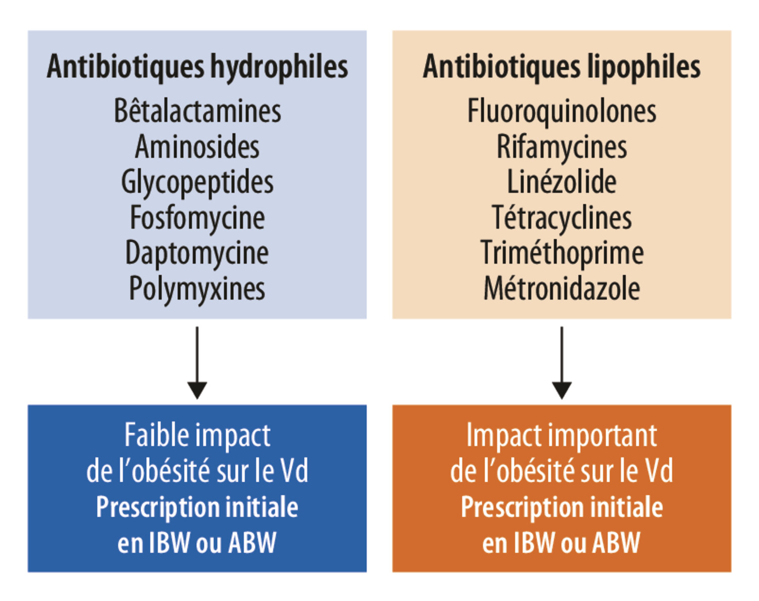 Adaptation de posologie des antibiotiques chez le patient en surpoids - Figure