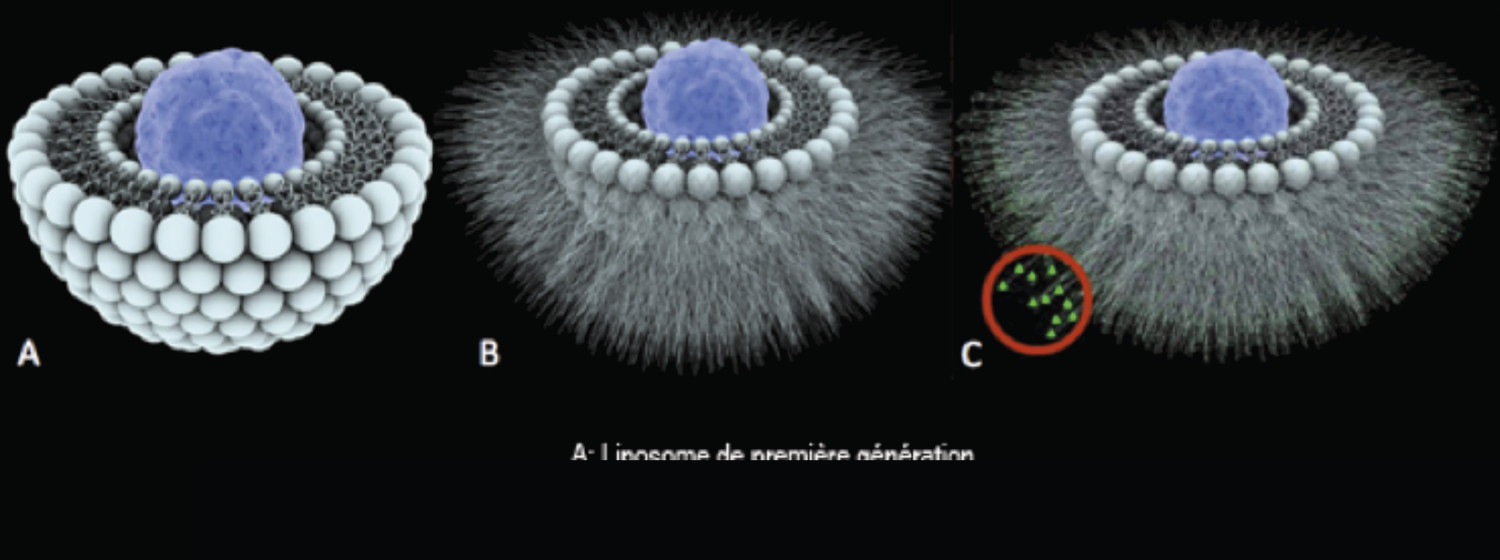 Les nanomédicaments : définition et applications en thérapeutique - Figure 4