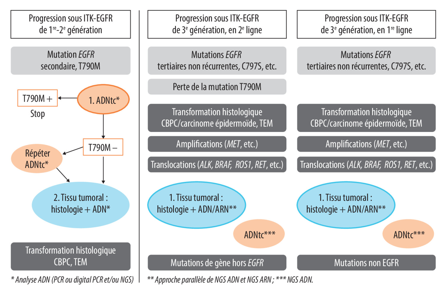 Quelles analyses à la progression sous ITK de l’EGFR ? - Figure 4