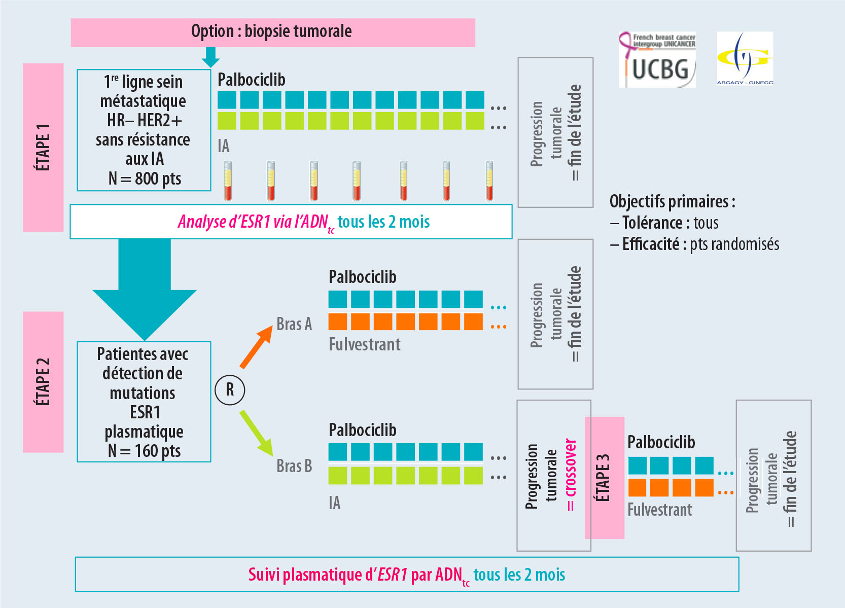 ADN tumoral circulant et mutation ESR1 dans les cancers du sein hormonodépendants - Figure 2
