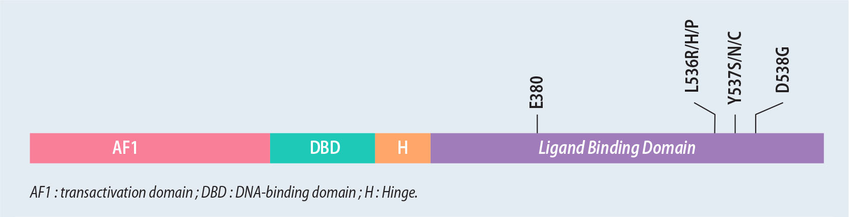 ADN tumoral circulant et mutation ESR1 dans les cancers du sein hormonodépendants - Figure 1