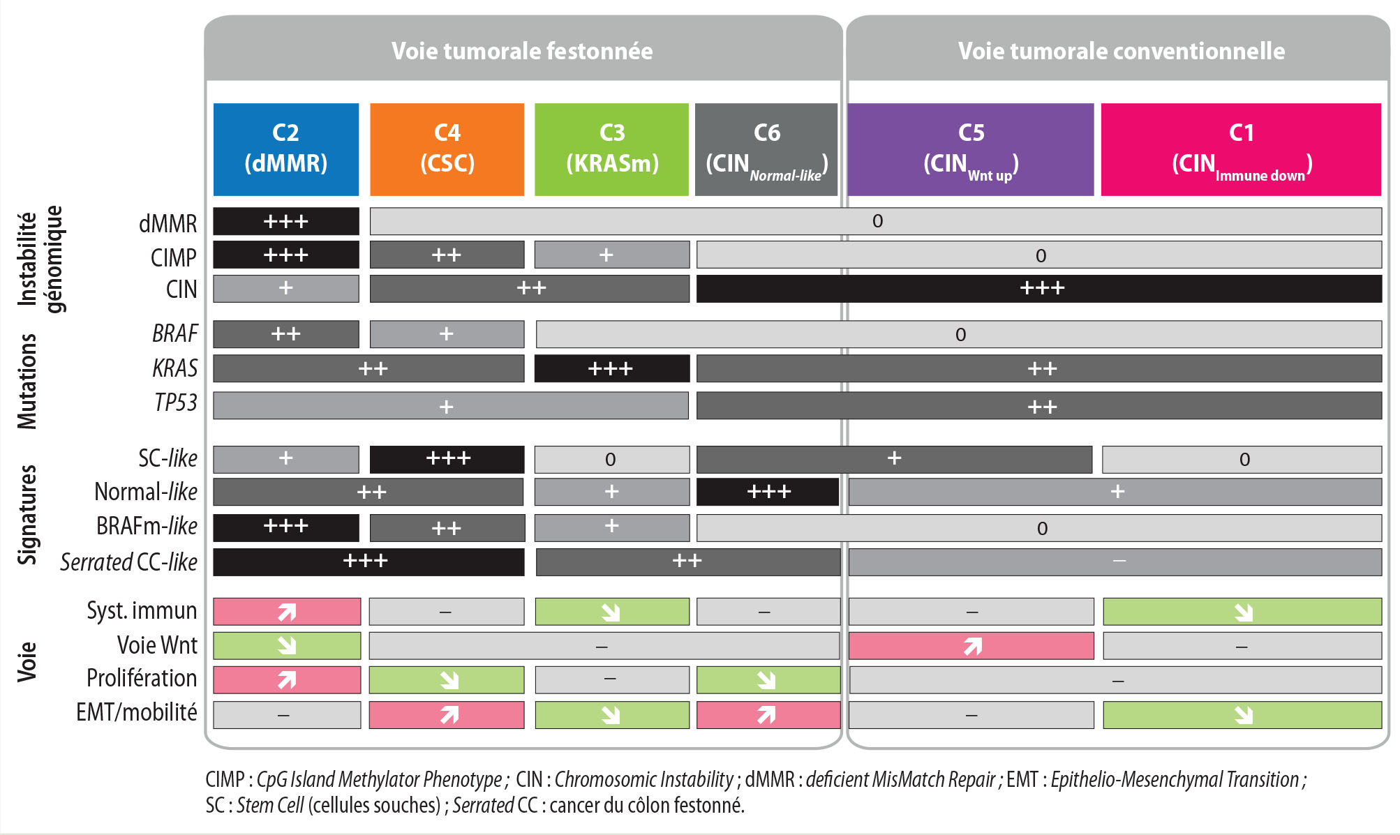Classifications moléculaires du cancer colorectal en 2016 - Figure