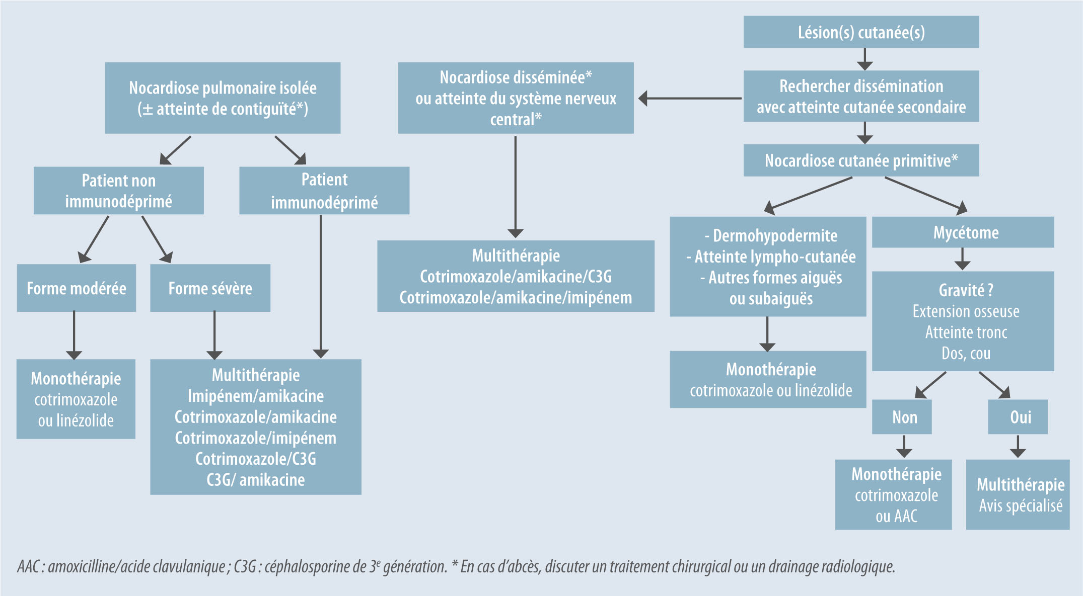 De Nocardia aux nocardioses : diagnostic et traitement-Figure 3
