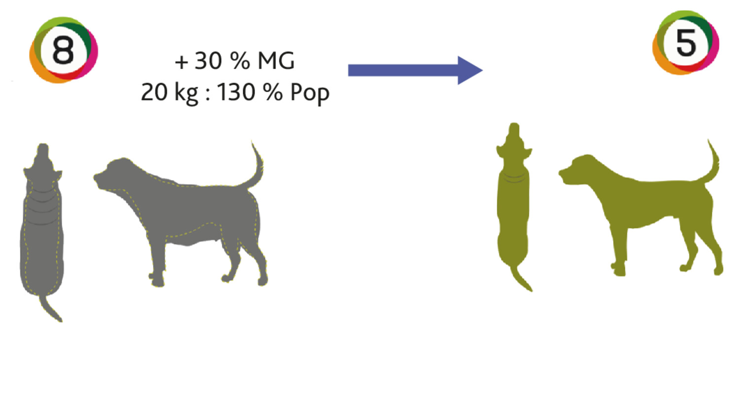 Les répercussions nutritionnelles de la stérilisation des chiens et des chats - Figure 8