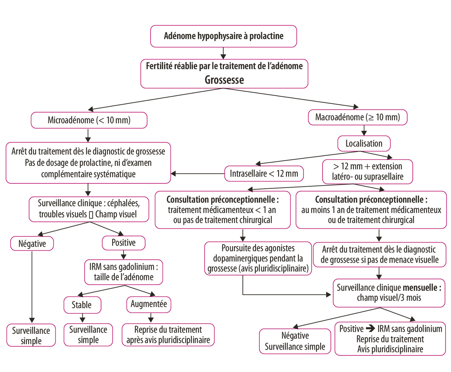 Prolactinome et grossesse en pratique - Figure 1
