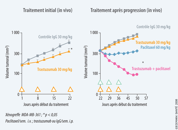 Cancer du sein métastatique surexprimant HER2 : durée du traitement par trastuzumab et traitement après progression sous trastuzumab-Figure 1. 