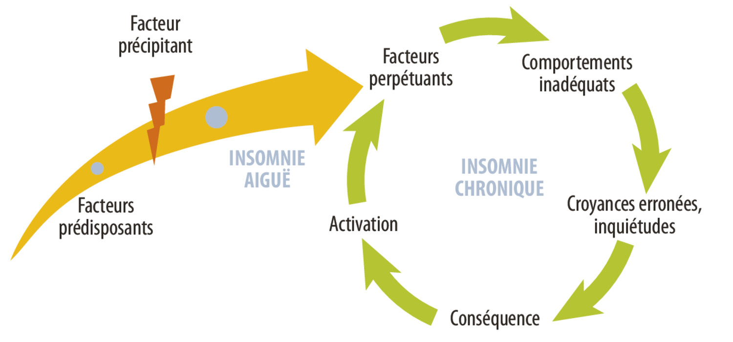 Gestion de l’insomnie - Figure 3