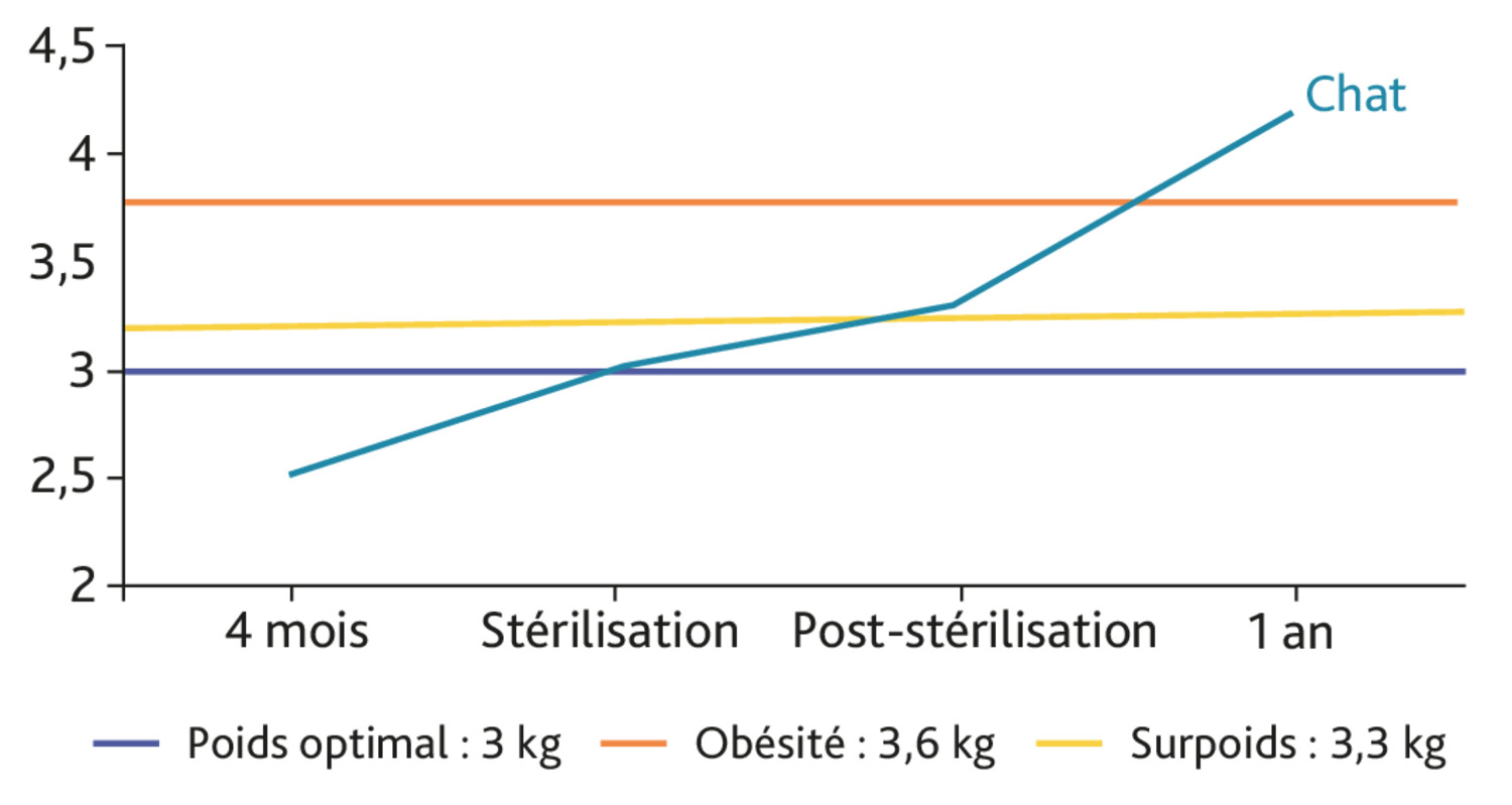 Les répercussions nutritionnelles de la stérilisation des chiens et des chats - Figure 5