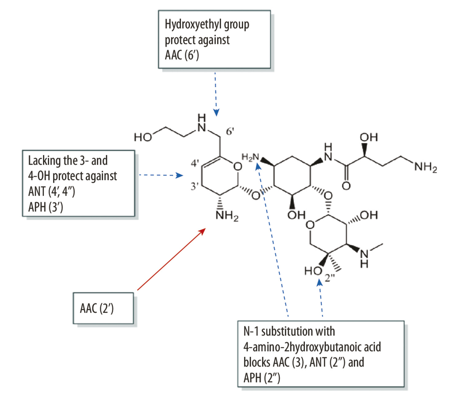 Contre les BGN multirésistants : autres antibiotiques que des bêta-lactamines ? Aminosides, cyclines… - Figure 1
