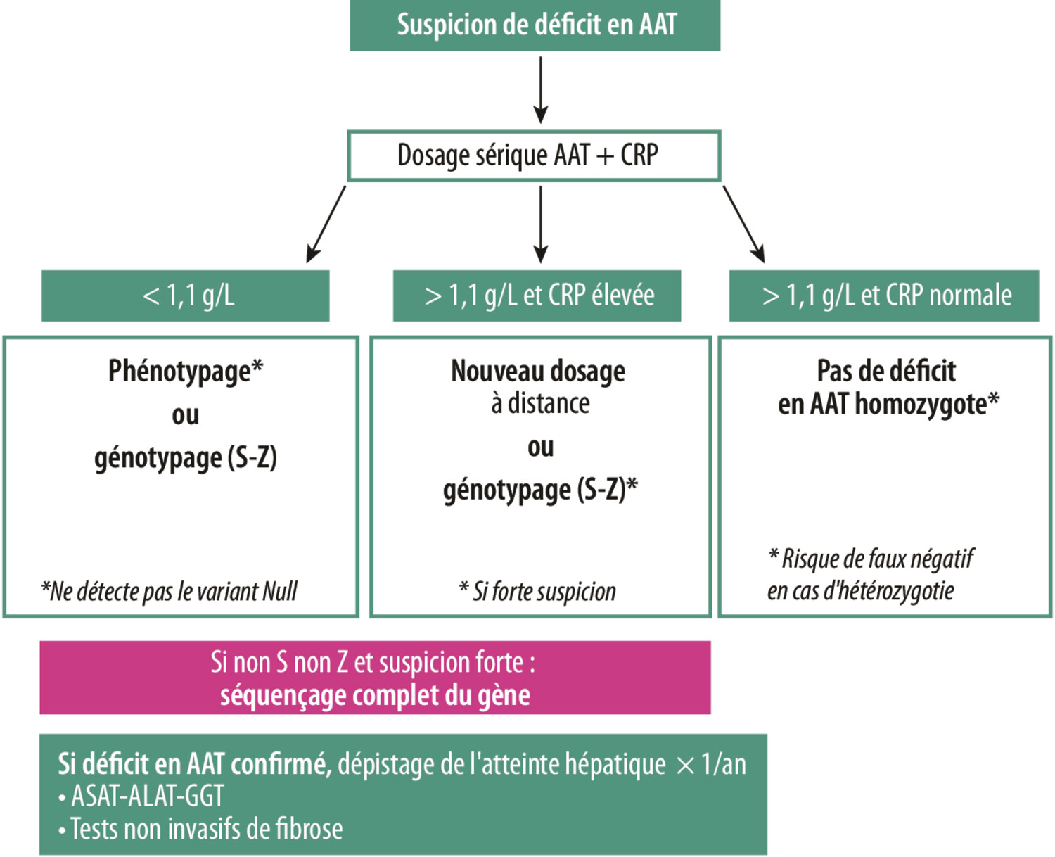 Déficit en alpha-1 antitrypsine : que doit savoir l’hépatogastroentérologue ?  - Figure 3