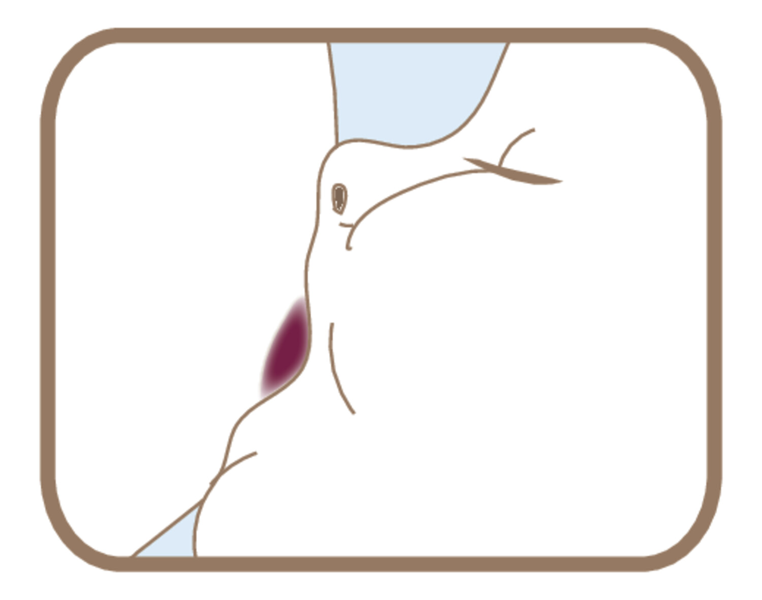 Informer et guider les femmes dans leur projet d’allaitement - Figure 3