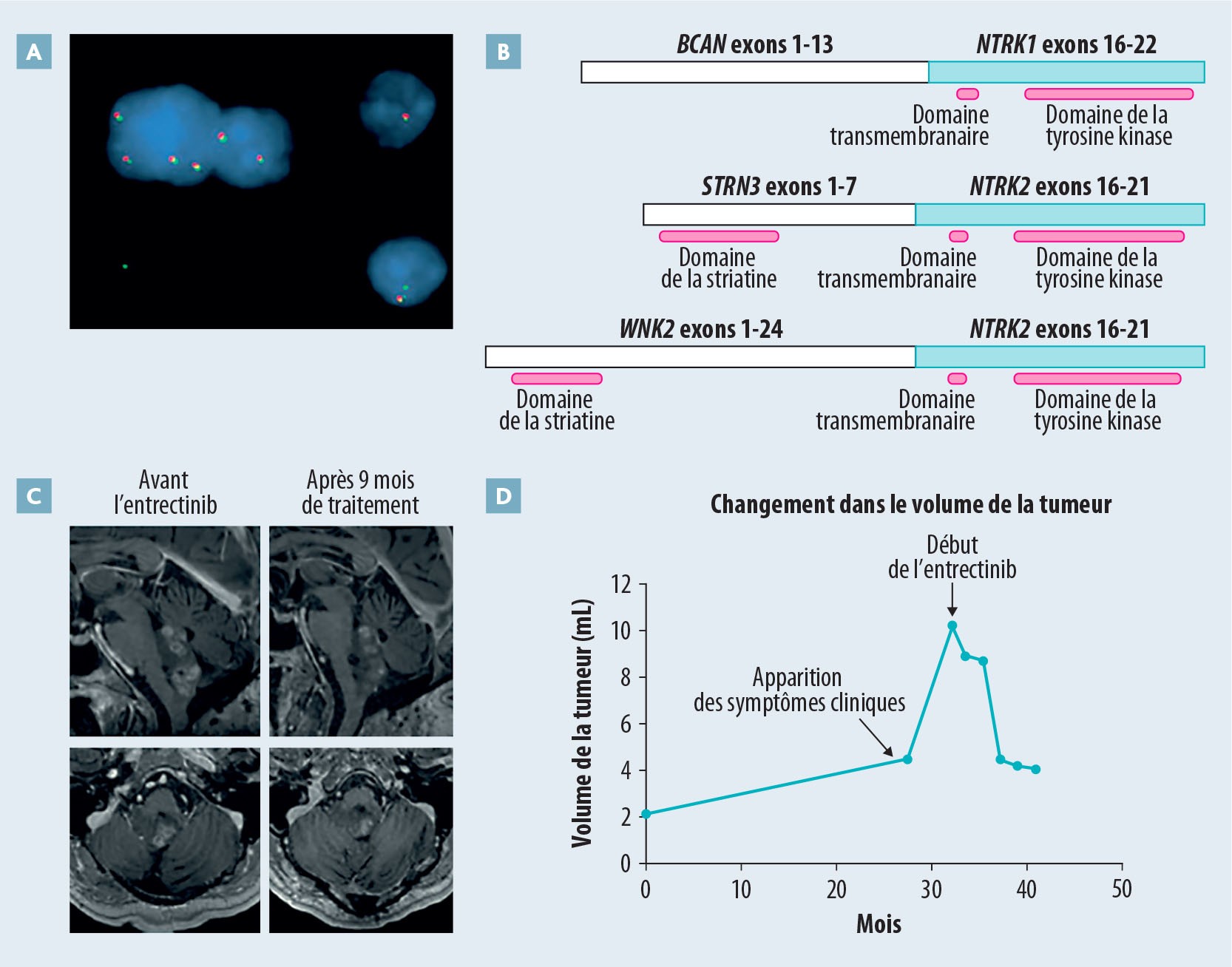 Médecine de précision en neuro-oncologie - Figure 3