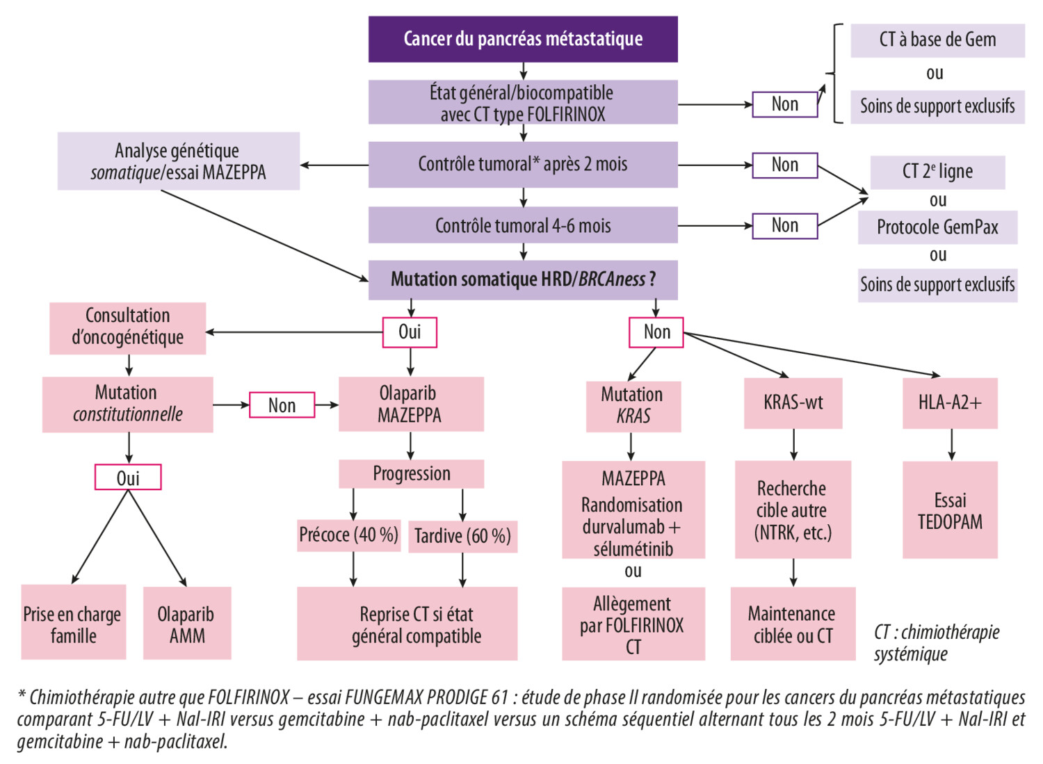 Prise en charge spécifique des patients atteints de cancer du pancréas avec mutation des gènes BRCA1/2 - Figure