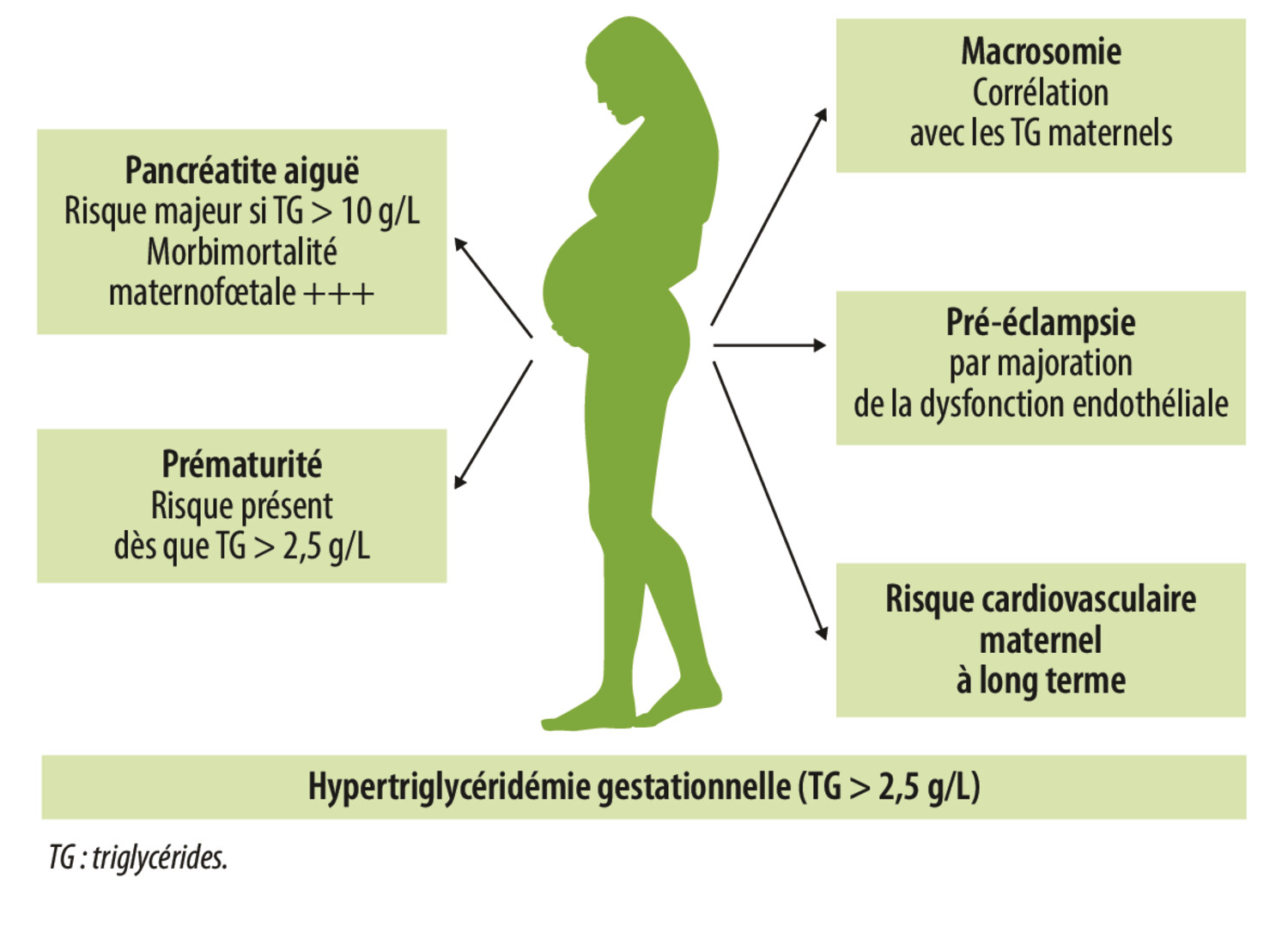 L’hypertriglycéridémie chez la femme enceinte - Figure 2