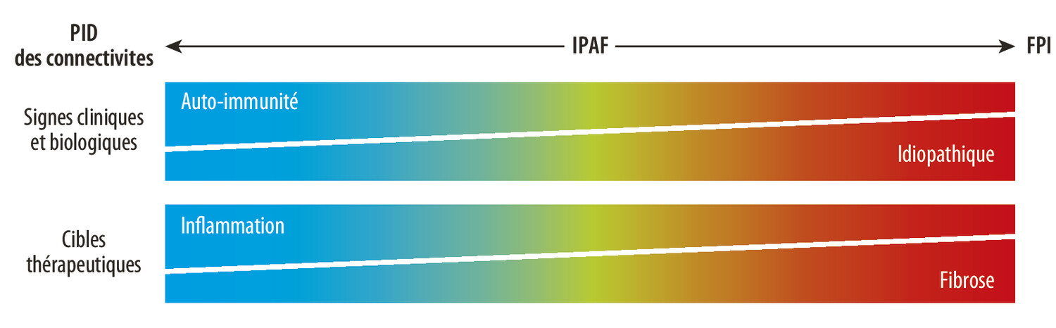 Le concept de pneumopathie interstitielle avec manifestations auto‑immunes (IPAF) - Figure 3