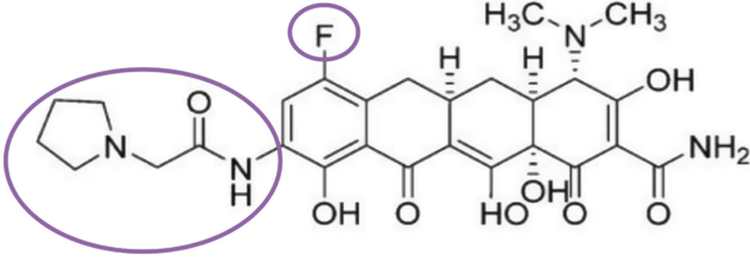 Contre les BGN multirésistants : autres antibiotiques que des bêta-lactamines ? Aminosides, cyclines… - Figure 2