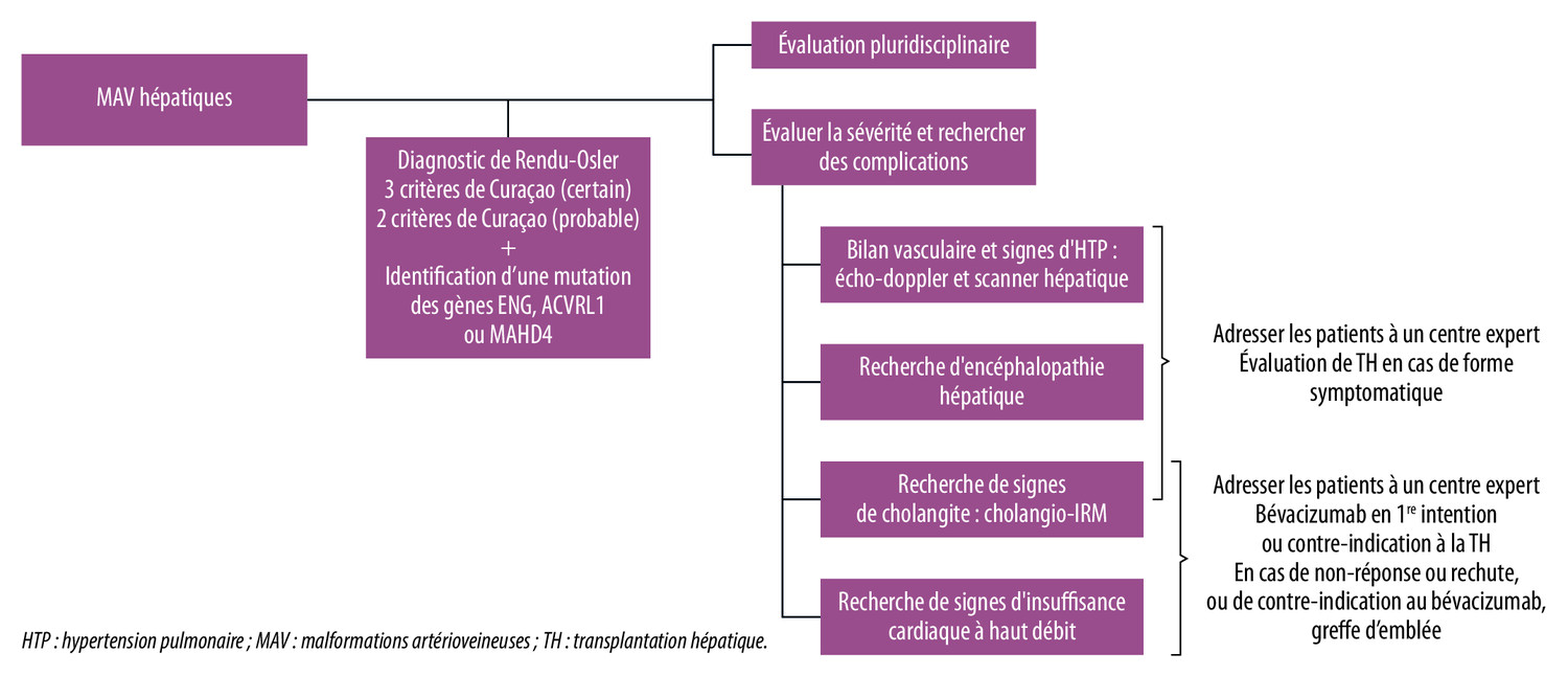 Quelle place pour la transplantation hépatique dans la maladie de Rendu‑Osler ? - Figure 1