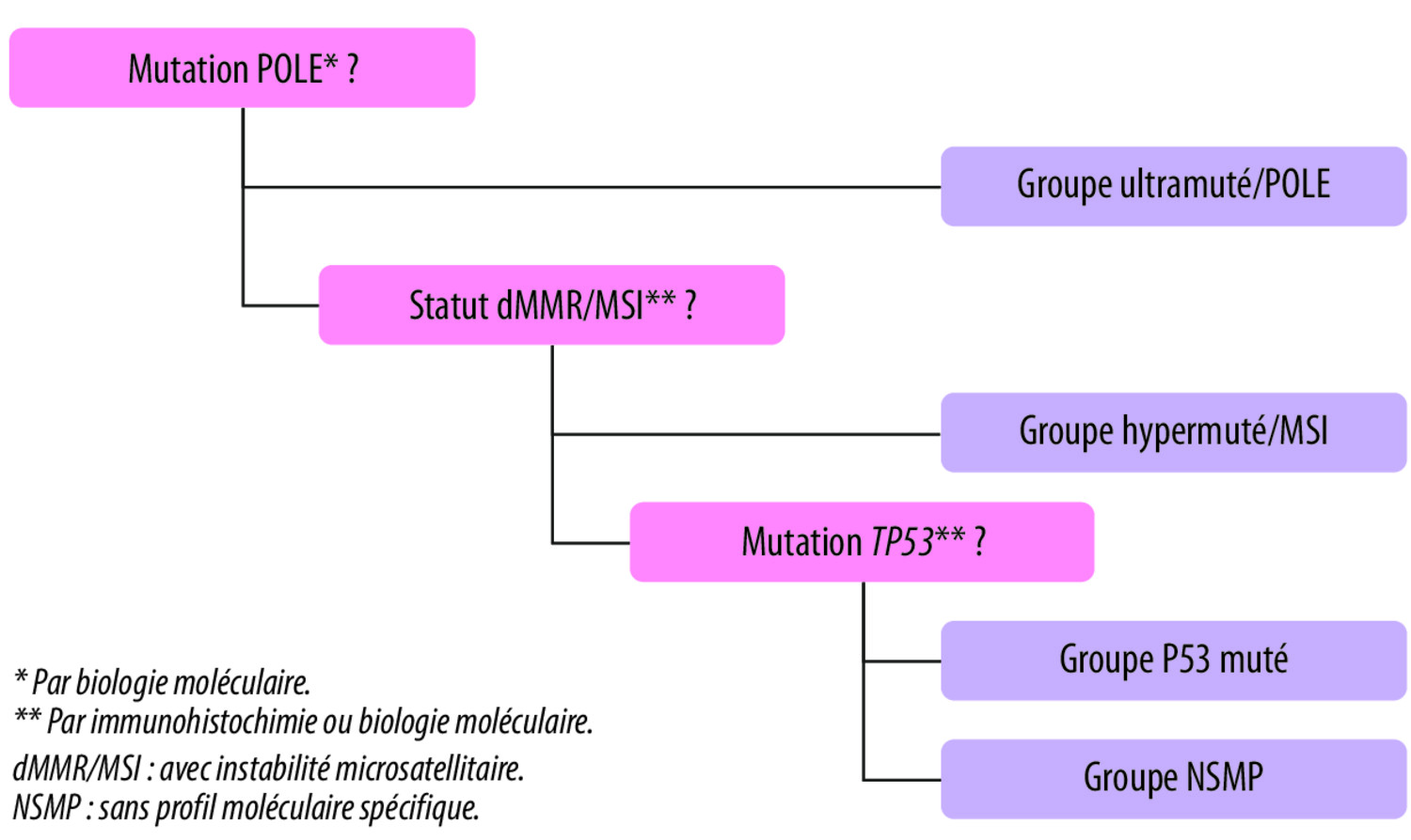 Intérêt de la classification histomoléculaire dans les choix de traitement et le suivi du cancer de l’endomètre à la phase localisée - Figure