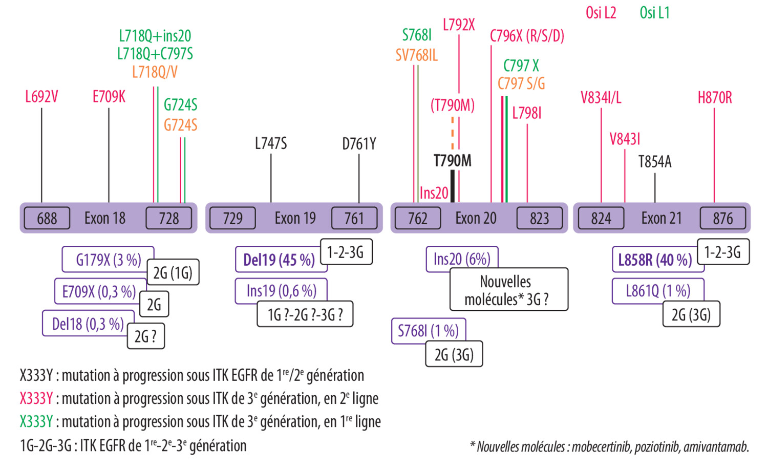 Quelles analyses à la progression sous ITK de l’EGFR ? - Figure 1