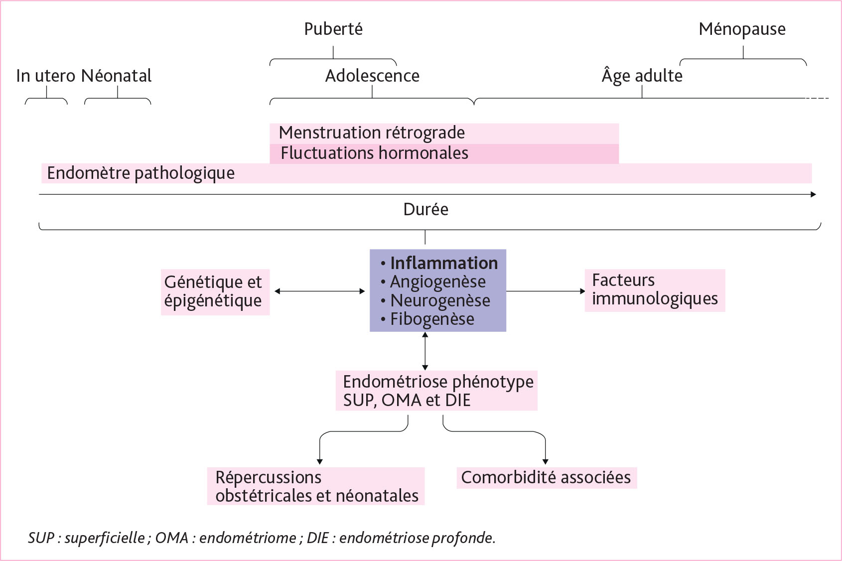 Dysménorrhées de l’adolescente : quand et comment diagnostiquer ­l’endométriose ? - Figure 2
